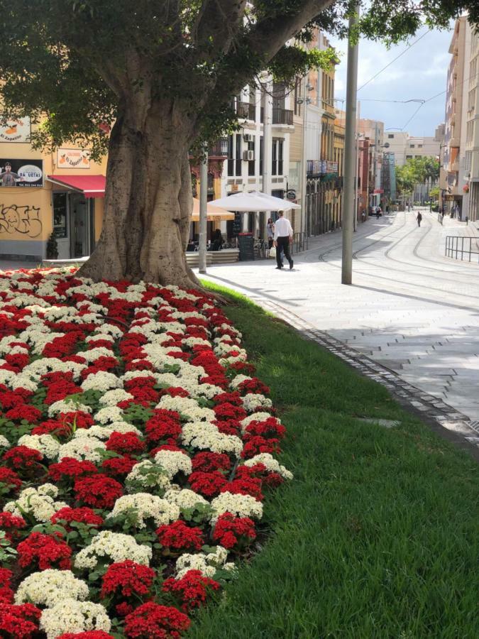 Suite Beethoven Santa Cruz de Tenerife Exterior foto